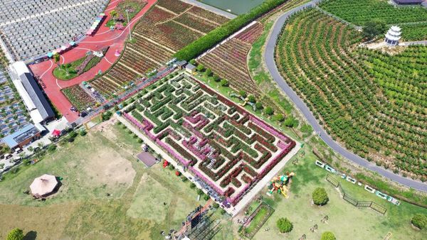 Menjelajahi Taman Bunga Labirin di Dongyang China