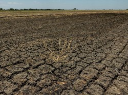 Apa Itu Hari Tanpa Hujan (HTH)? Simak Penjelasan Menurut BMKG