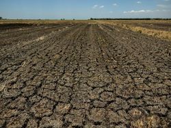 BMKG Ungkap Potensi Kemarau Berkepanjangan, Minta Hal Ini ke Pemerintah