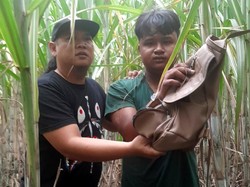 Jambret Sadis yang Bikin Emak-emak Patah Kaki di Mojokerto Ditangkap