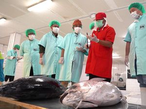 Hari Tuna Sedunia, Ini Langkah KKP Perluas Jangkauan ke Pasar Dunia