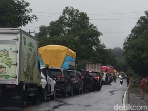 Poros Bone-Maros di Bengo Macet 1 Km gegara Pohon Tumbang Tutupi Jalan