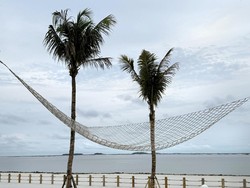 Daftar Proyek Strategis Nasional yang Dihapus Prabowo Selain PIK 2