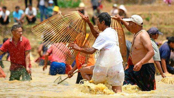 Potret Keseruan Tradisi Menangkap Ikan di China