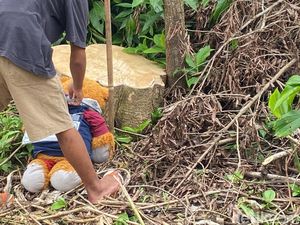 Video Kejanggalan Warga Ungkap Nasib Tragis Anak TK di Sukabumi Video Kejanggalan Warga Ungkap Nasib Tragis Anak TK di Sukabumi