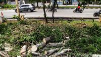 Potret RTH Jakbar Terkini Usai Temuan Sampah Kondom