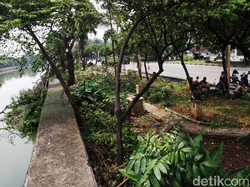 Kapolres Jakbar Pastikan RTH Tubagus Angke Kini Bebas dari Prostitusi