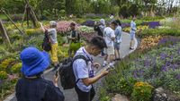 Mengamati Ribuan Jenis Tanaman di Pameran Hortikultura China
