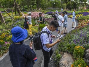Mengamati Ribuan Jenis Tanaman di Pameran Hortikultura China Mengamati Ribuan Jenis Tanaman di Pameran Hortikultura China