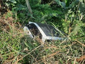 Mobil Wisatawan Bekasi Terjun ke Jurang di Sukamakmur Bogor, 2 Orang Luka