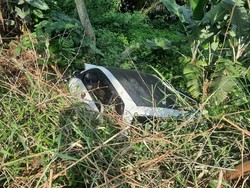 Mobil Wisatawan Bekasi Terjun ke Jurang di Sukamakmur Bogor, 2 Orang Luka