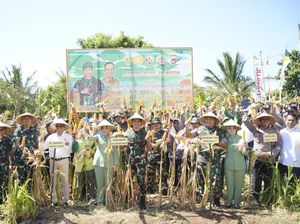Pangdam Udayana Panen Raya Jagung-Deklarasi Patriot Pangan di Lombok Timur