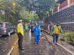 Pohon Tumbang Terjadi di 6 Titik di Kota Bogor Imbas Hujan Deras