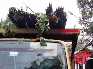 Hujan Disertai Angin Kencang, Pohon Tumbang Timpa Mobil di Ciawi Bogor
