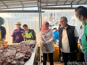 Zulhas Sebut Ayam Potong Wajib Bersertifikat Halal Mulai Oktober 2024