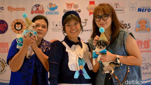 Gemas! Anjing-anjing Lucu Ini Pakai Busana dan Ikut Pesta Ultah