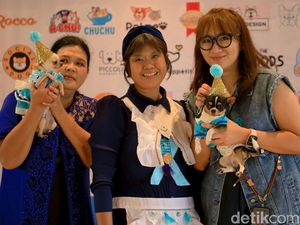 Gemas! Anjing-anjing Lucu Ini Pakai Busana dan Ikut Pesta Ultah