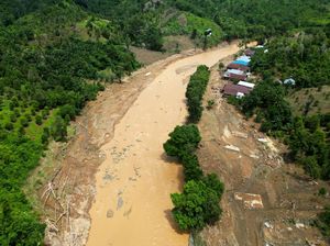 Dugaan Aktivitas Tambang Emas-Lahan Kritis Penyebab Longsor di Luwu Dugaan Aktivitas Tambang Emas-Lahan Kritis Penyebab Longsor di Luwu