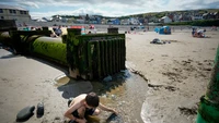 Potret Teror Tinja yang Menjijikkan di Pantai Inggris