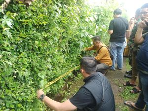 Mayat Bayi Laki-laki Ditemukan Warga di Bogor, Sempat Dikira Boneka