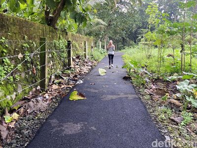 Asyiknya Jogging Sambil Menikmati Kesejukan Lab Alam SMA de Britto