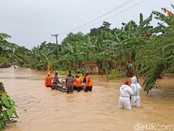 Walhi Ungkap Banjir Bandang-Longsor di Luwu gegara Aktivitas Tambang Emas