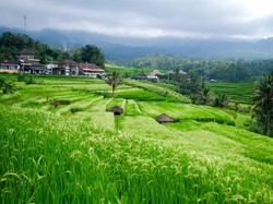 Mantap! 2 Desa Wisata RI Jadi yang Terbaik di Dunia versi UN Tourism