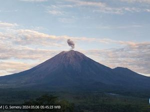 Gunung Semeru Erupsi Setinggi 700 Meter dari Puncak Gunung Semeru Erupsi Setinggi 700 Meter dari Puncak