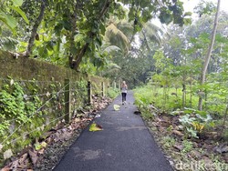 Lab Alam Ini Bisa Jadi Alternatif Lokasi Jogging di Jogja