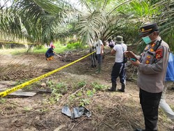 Cerita Kandar Temukan Kerangka Manusia di Muba Saat Hendak Panen Sawit