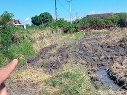 Diduga Kaget Papasan, Avanza Isi 4 Orang Nyemplung Sawah di Karangdowo Klaten