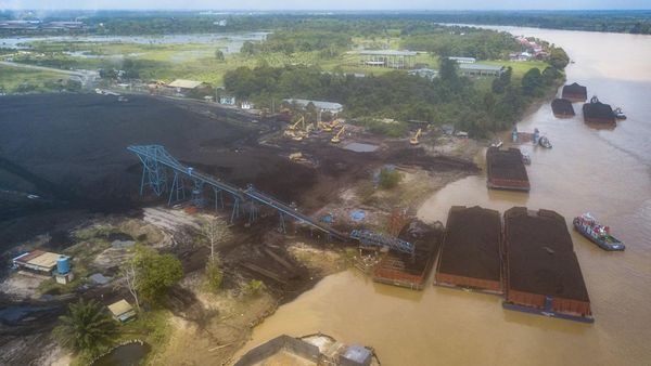 Potret Penampungan Batu Bara di Muaro Jambi Saat Nilai Ekspor Anjlok Potret Penampungan Batu Bara di Muaro Jambi Saat Nilai Ekspor Anjlok