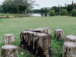 Pesona Evergreen, Wisata Hidden Gem di Tanjung Morawa