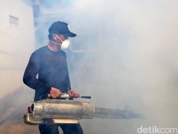 Kematian Akibat DBD di RI Naik Nyaris 3 Kali Lipat, Terbanyak dari Kelompok Ini