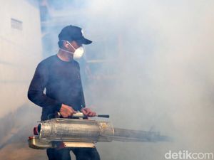Kematian Akibat DBD di RI Naik Nyaris 3 Kali Lipat, Terbanyak dari Kelompok Ini Kematian Akibat DBD di RI Naik Nyaris 3 Kali Lipat, Terbanyak dari Kelompok Ini