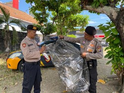 Viral Balon Udara Nyangkut di Pohon Sewon Bantul, Ini Kata Polisi