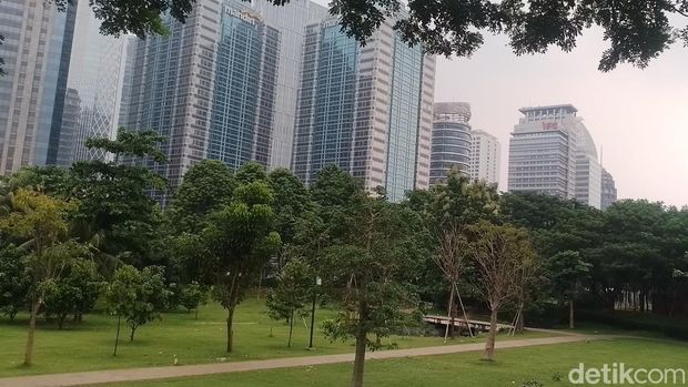 Taman Hutan Kota, Senayan, Jakarta Pusat