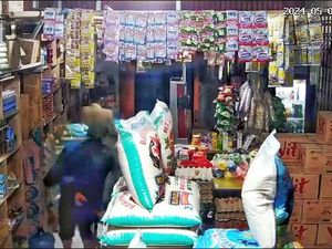 Viral Aksi Komplotan Maling Curi 1 Ton Beras di Karawang Viral Aksi Komplotan Maling Curi 1 Ton Beras di Karawang