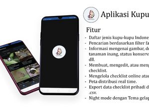 Senang Kupu-kupu? Yuk Cari Informasinya Lewat Aplikasi Kupunesia