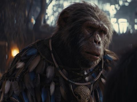 (L-R): Koro (played by Neil Sandilands ) and Noa (played by Owen Teague) in 20th Century Studios' KINGDOM OF THE PLANET OF THE APES. Photo courtesy of 20th Century Studios. © 2024 20th Century Studios. All Rights Reserved.