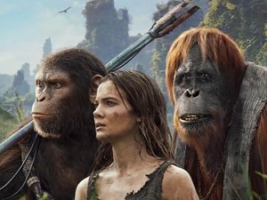 Sensasi Nonton Film Kingdom of the Planet of the Apes Sensasi Nonton Film Kingdom of the Planet of the Apes