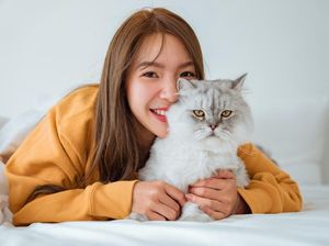 Kenapa Kucing Suka Mengeong ke Manusia? Ternyata Ini Alasannya