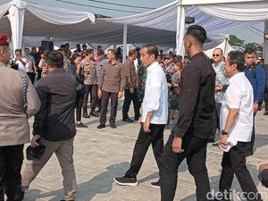 Telan Biaya Rp 76 Miliar, Jokowi Resmikan Tambak Ikan Nila Salin di Karawang