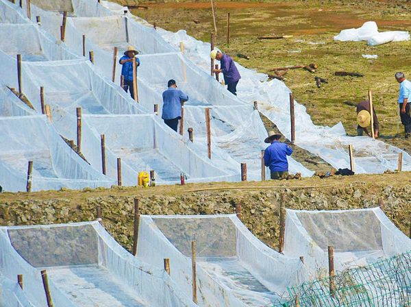 Melihat Budi Daya Perikanan di Anqing China