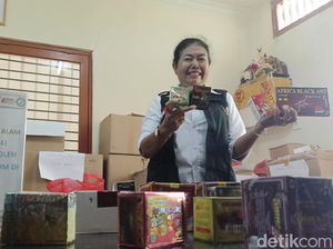 BBPOM Sita 3.799 Kotak Obat Ilegal di Denpasar, 1 Pelaku Ditangkap BBPOM Sita 3.799 Kotak Obat Ilegal di Denpasar, 1 Pelaku Ditangkap