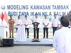 Bupati Karawang Dampingi Jokowi Resmikan Tambak Budidaya Ikan Nila Salin