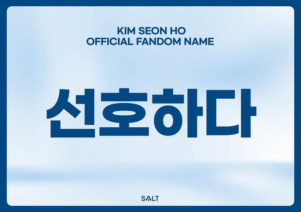 Peresmian nama fandom Kim Seon Ho 'Seonhohada'