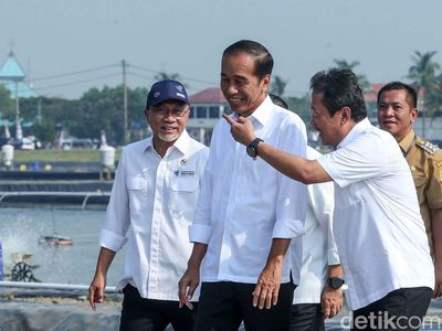 Tawa Semringah Jokowi Saat Resmikan Modeling Tambak Budi Daya Ikan Nila