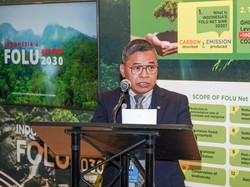 Target Hutan Global Disorot, RI Punya Catatan Progresif