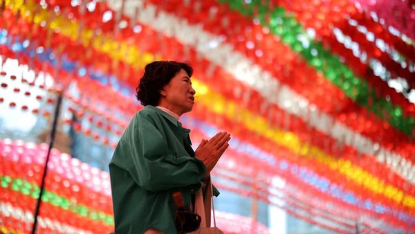 Warna-warni Lentera Teratai Hiasi Kuil di Korsel Jelang Waisak